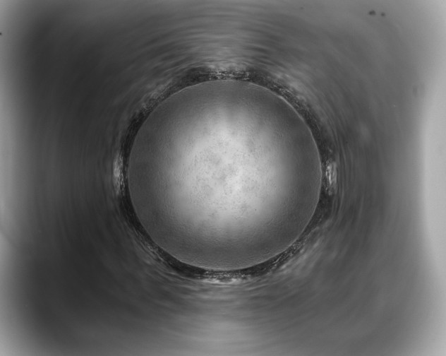 X0000088750963200705311509