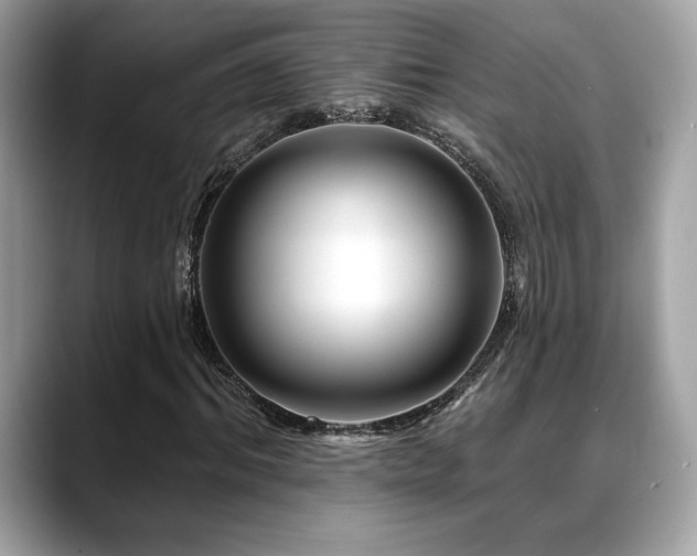 X0000088750964200705311509