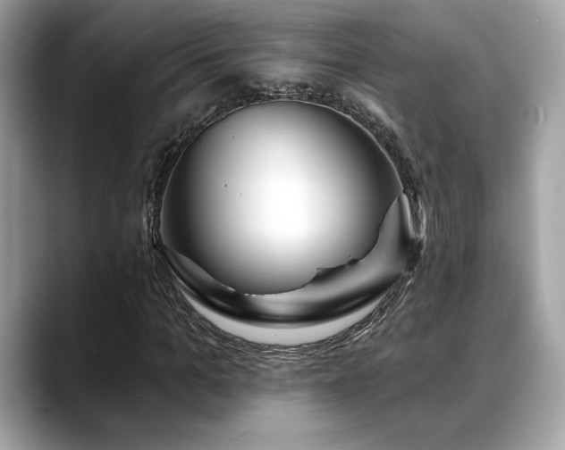 X0000088750965200705311509