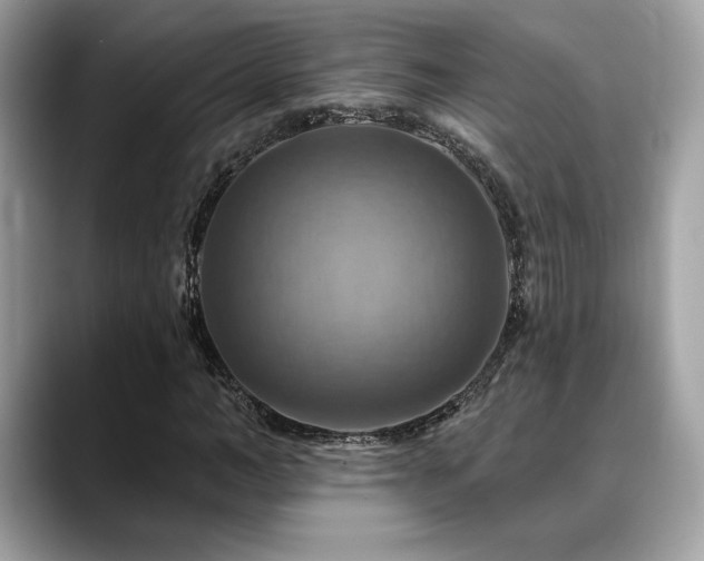 X0000088750966200705311509
