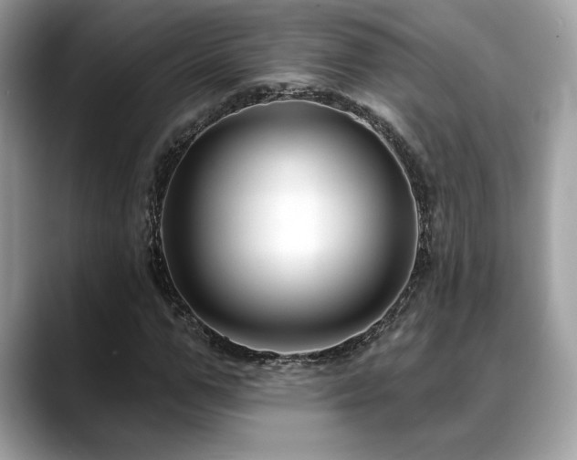 X0000088750967200705311509