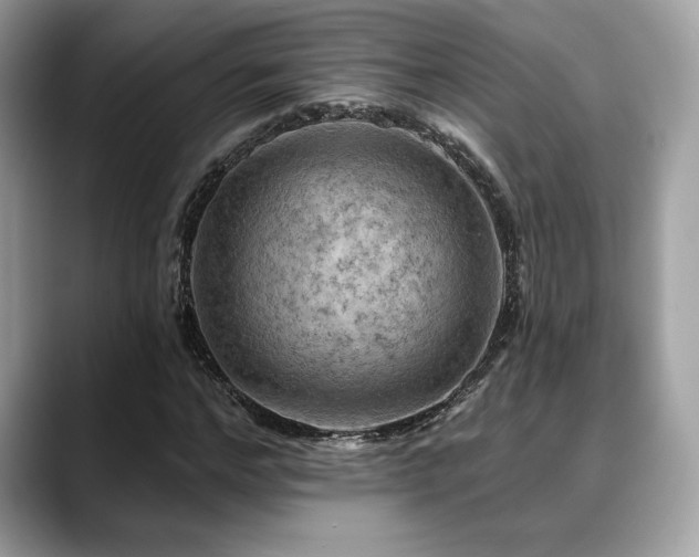 X0000088750968200705311509