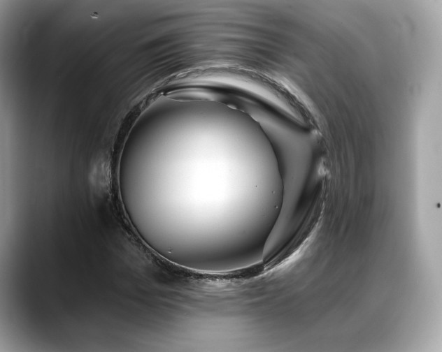 X0000088750969200705311509