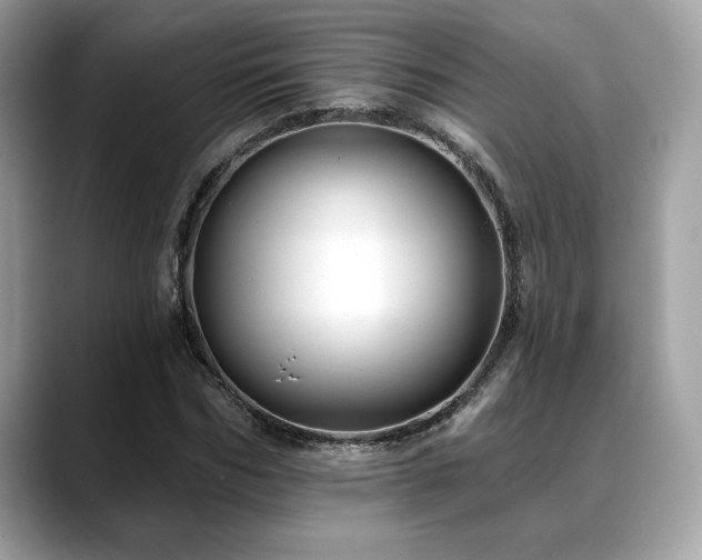 X0000088750970200705311509