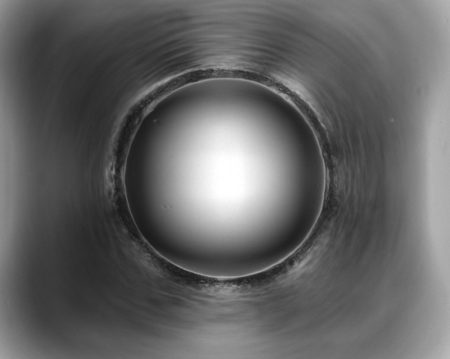 X0000088750971200705311509