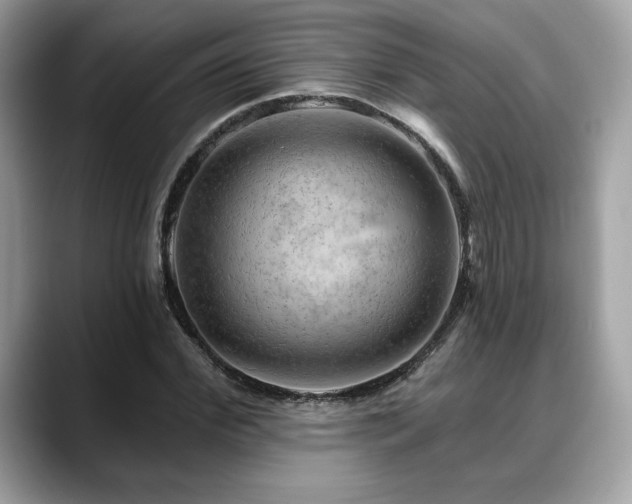 X0000088750972200705311509