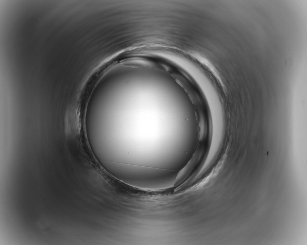 X0000088750973200705311509