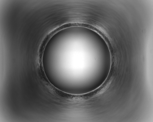 X0000088750974200705311509
