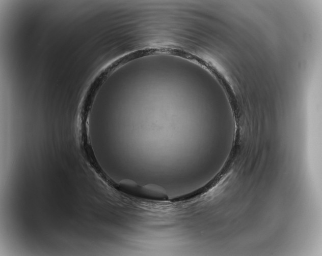 X0000088750975200705311509