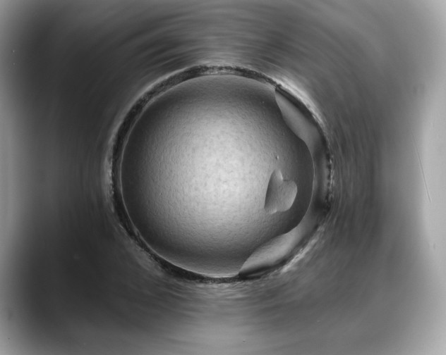 X0000088750976200705311509
