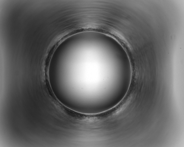 X0000088750978200705311509