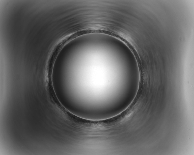 X0000088750979200705311509