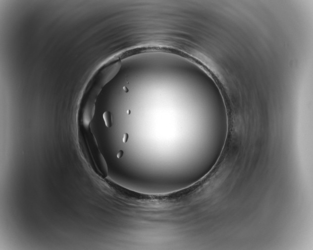 X0000088750980200705311509