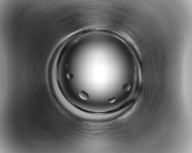 X0000088750981200705311509