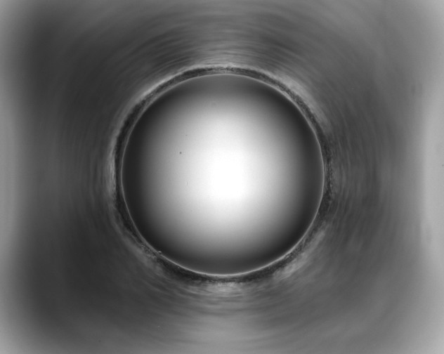 X0000088750982200705311509