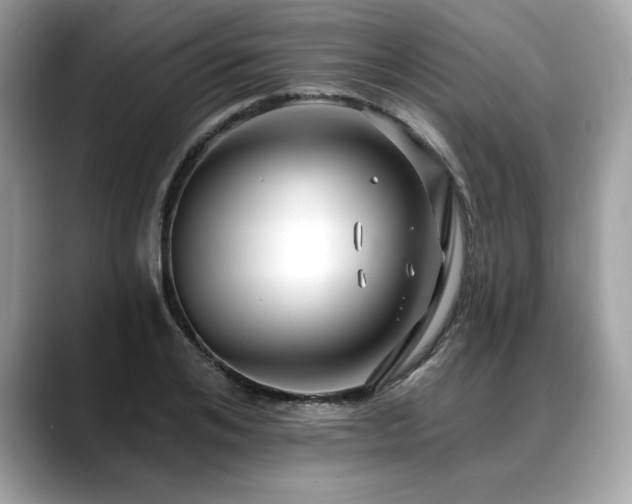 X0000088750984200705311509