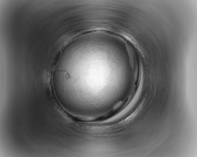 X0000088750985200705311509