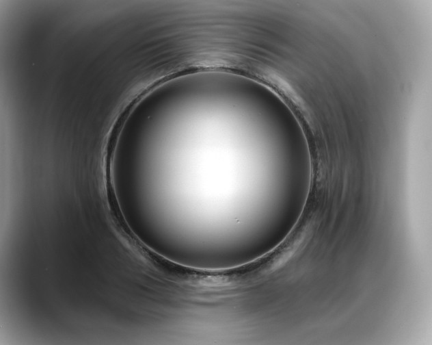 X0000088750986200705311508