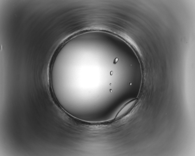 X0000088750988200705311508