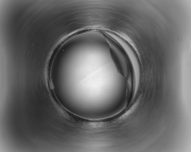 X0000088750989200705311508