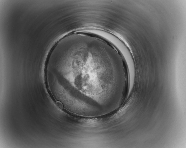 X0000088750995200705311508