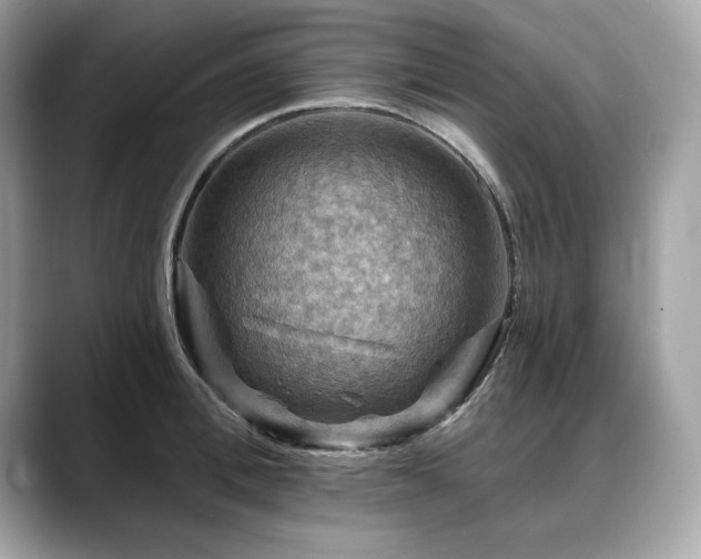 X0000088750996200705311508
