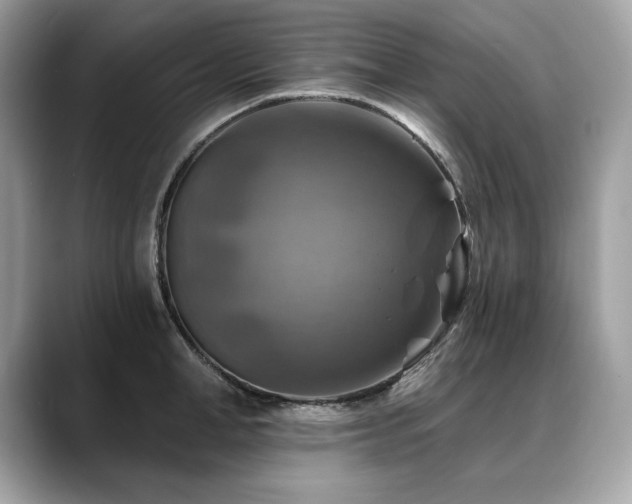 X0000088750998200705311508