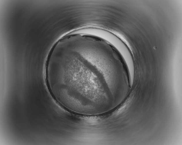 X0000088750999200705311508
