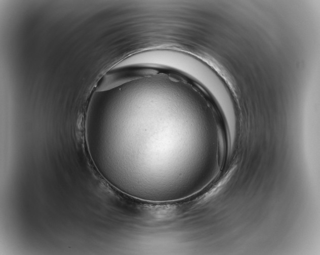 X0000088751001200705311508