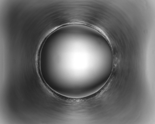 X0000088751003200705311508