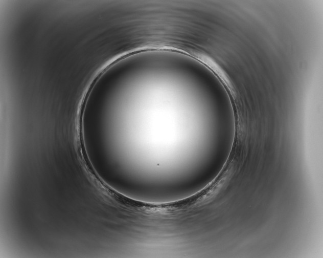 X0000088751004200705311508