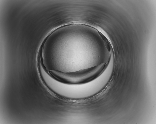 X0000088751005200705311508
