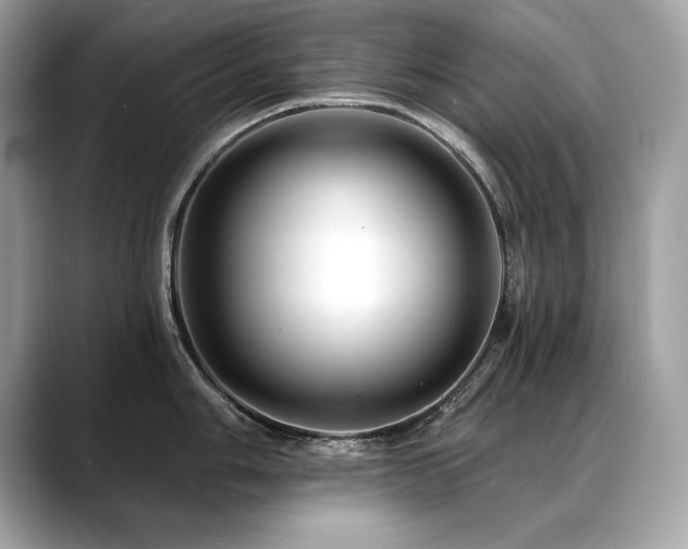 X0000088751006200705311508