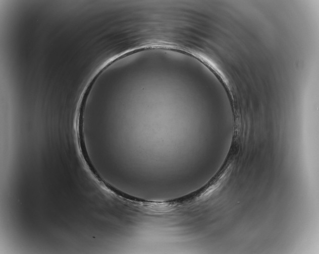 X0000088751007200705311508