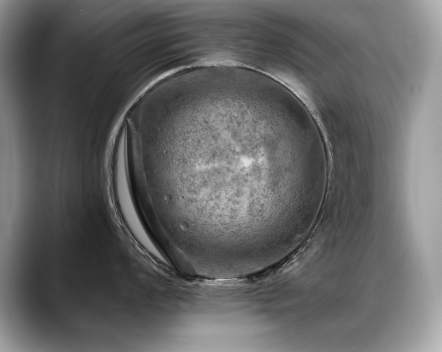 X0000088751008200705311508