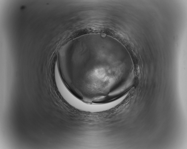 X0000088751009200705311508