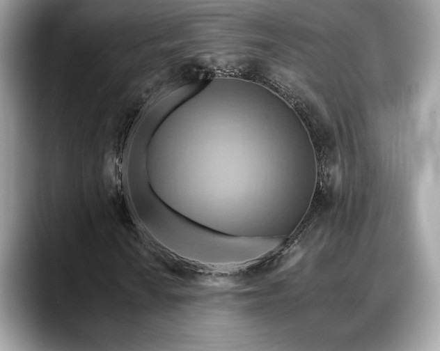 X0000088751010200705311508