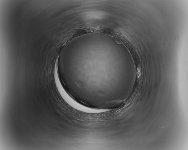 X0000088751011200705311508