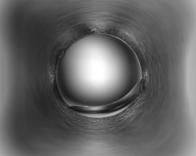 X0000088751012200705311508