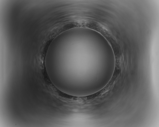 X0000088751013200705311508