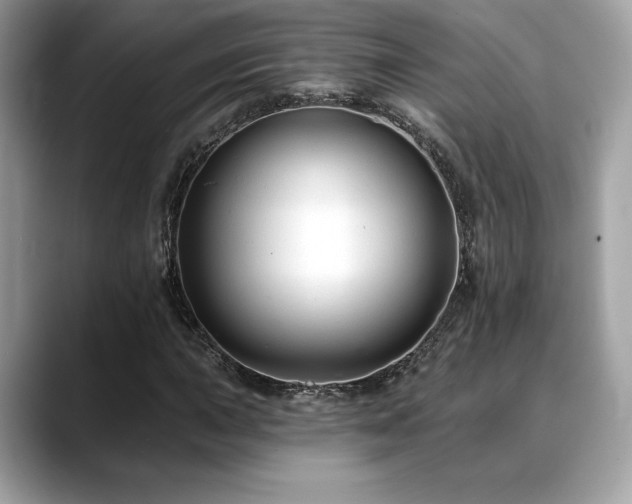 X0000088751015200705311508