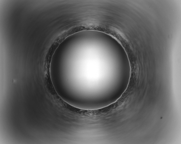 X0000088751016200705311508
