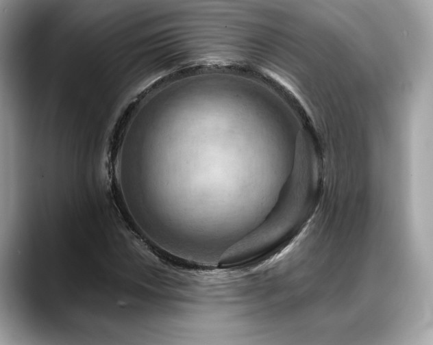 X0000088751018200705311508
