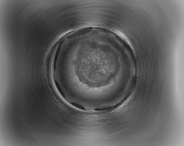X0000088751019200705311508