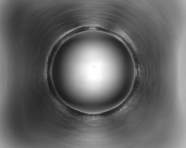 X0000088751020200705311508