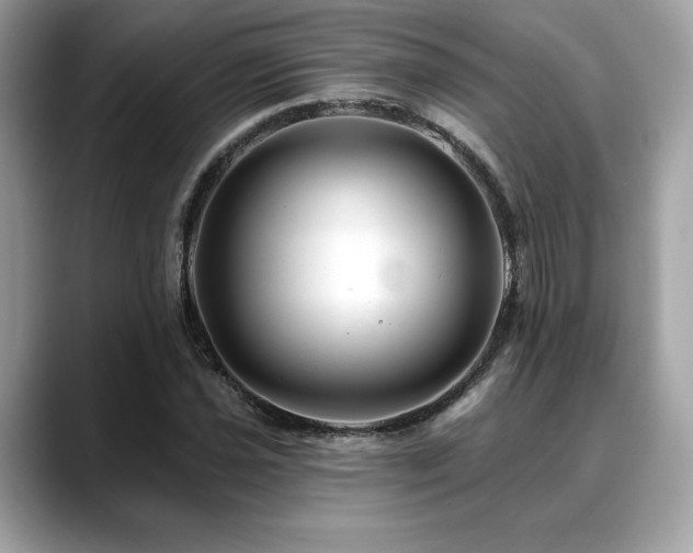 X0000088751021200705311508