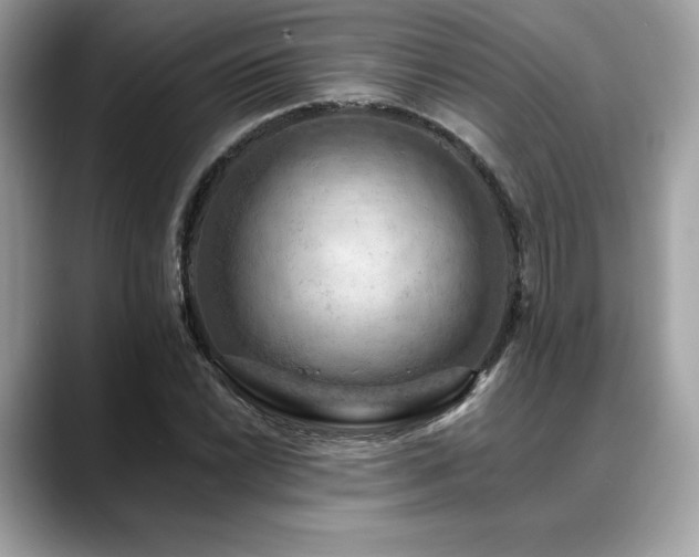 X0000088751022200705311508