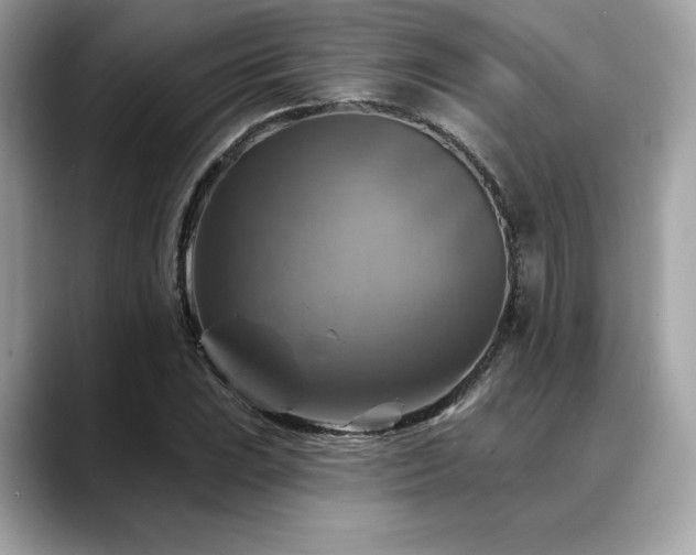 X0000088751023200705311508