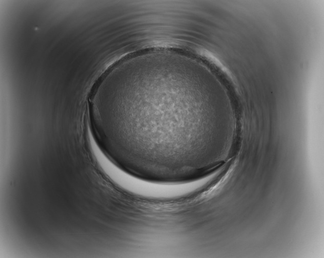 X0000088751025200705311508