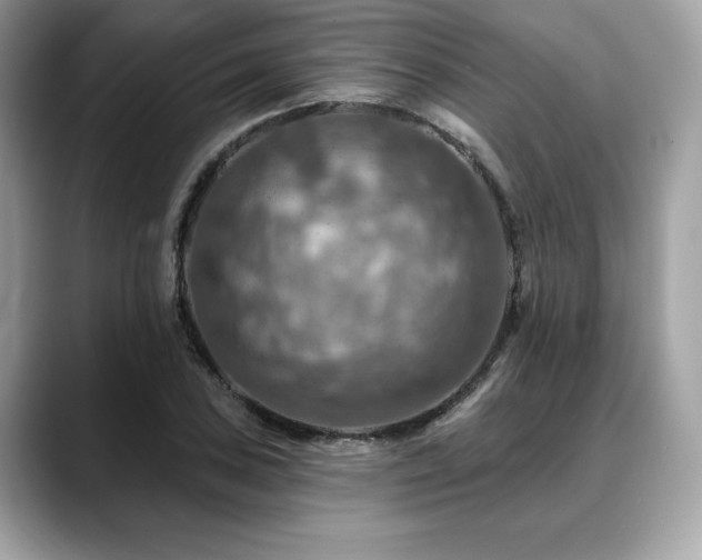X0000088751027200705311508
